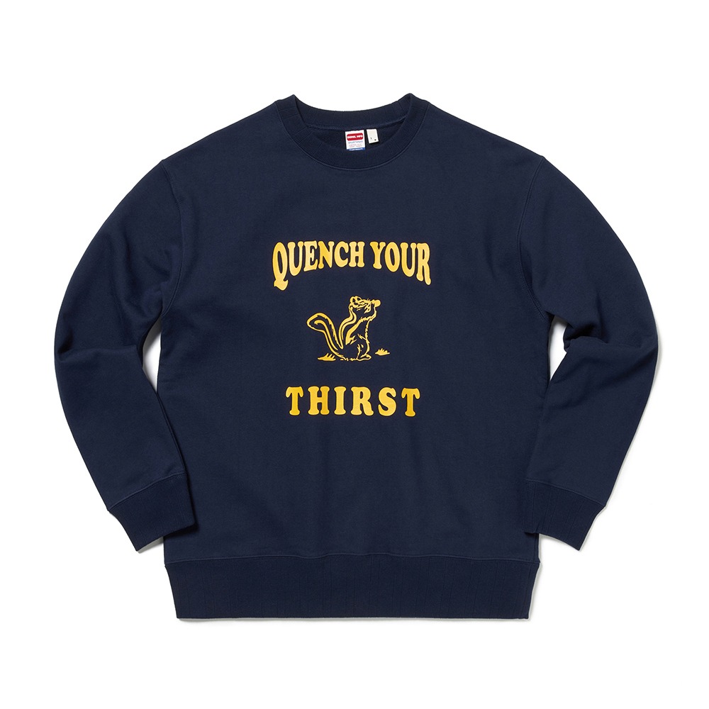 DEMILLOT. 056 Basic Sweatshirts(Navy Chipmunk)
